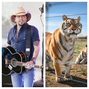 Jason Aldean Plays The Tiger King For Halloween